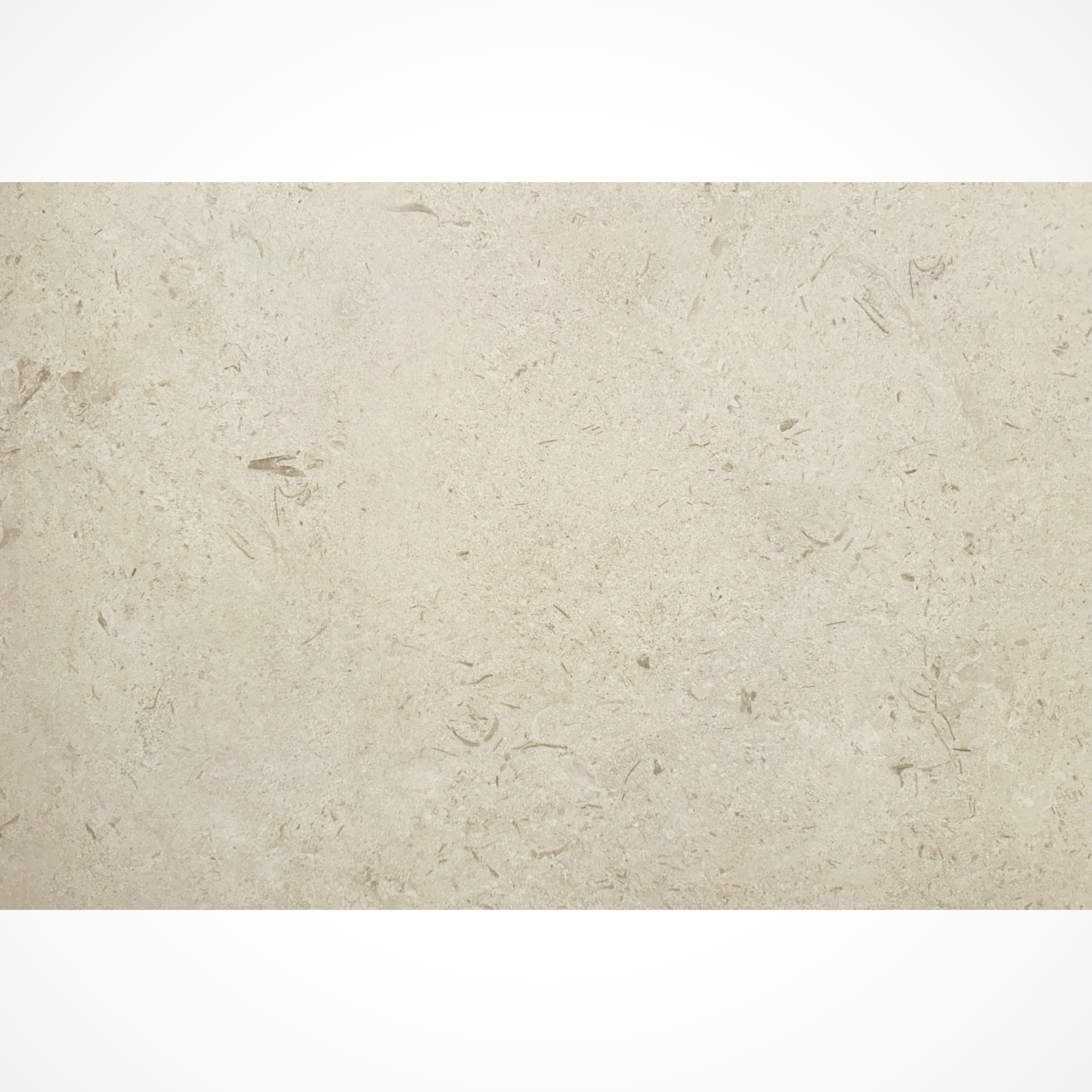 Hurok Marble - Hardscape Collection - Porcelain Pavers - Shellstone