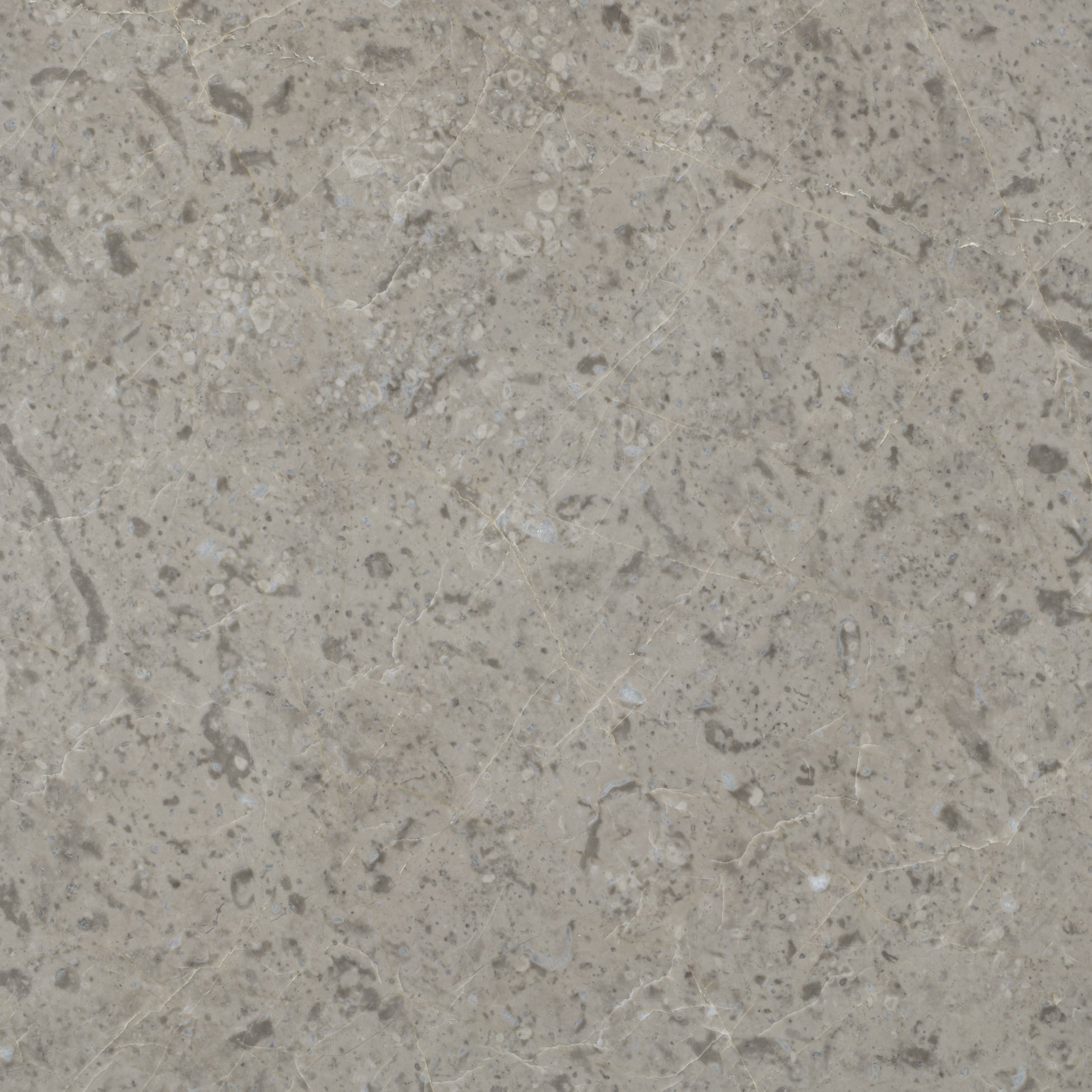 Hurok Marble - Interior Collection - Natural Stone Tiles - Silver Belinda