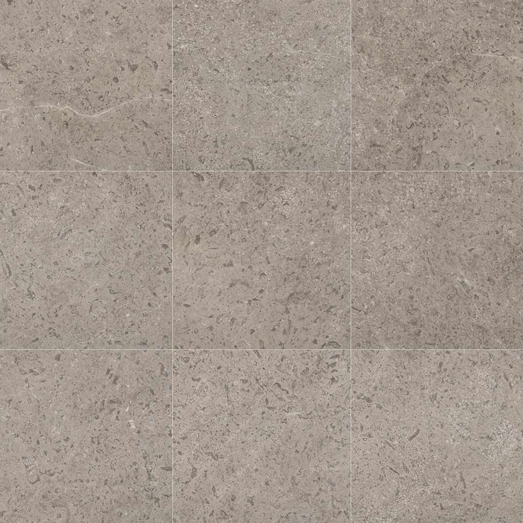 Interior Collection - Natural Stone Tiles - Silver Belinda Marble Tile